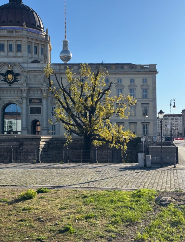 Thomas Neumann, 2024